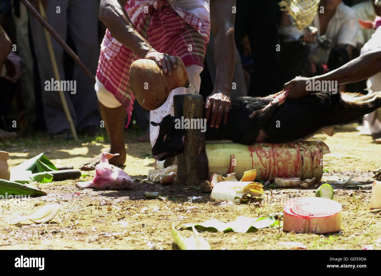 Casa di macello Foto Stock