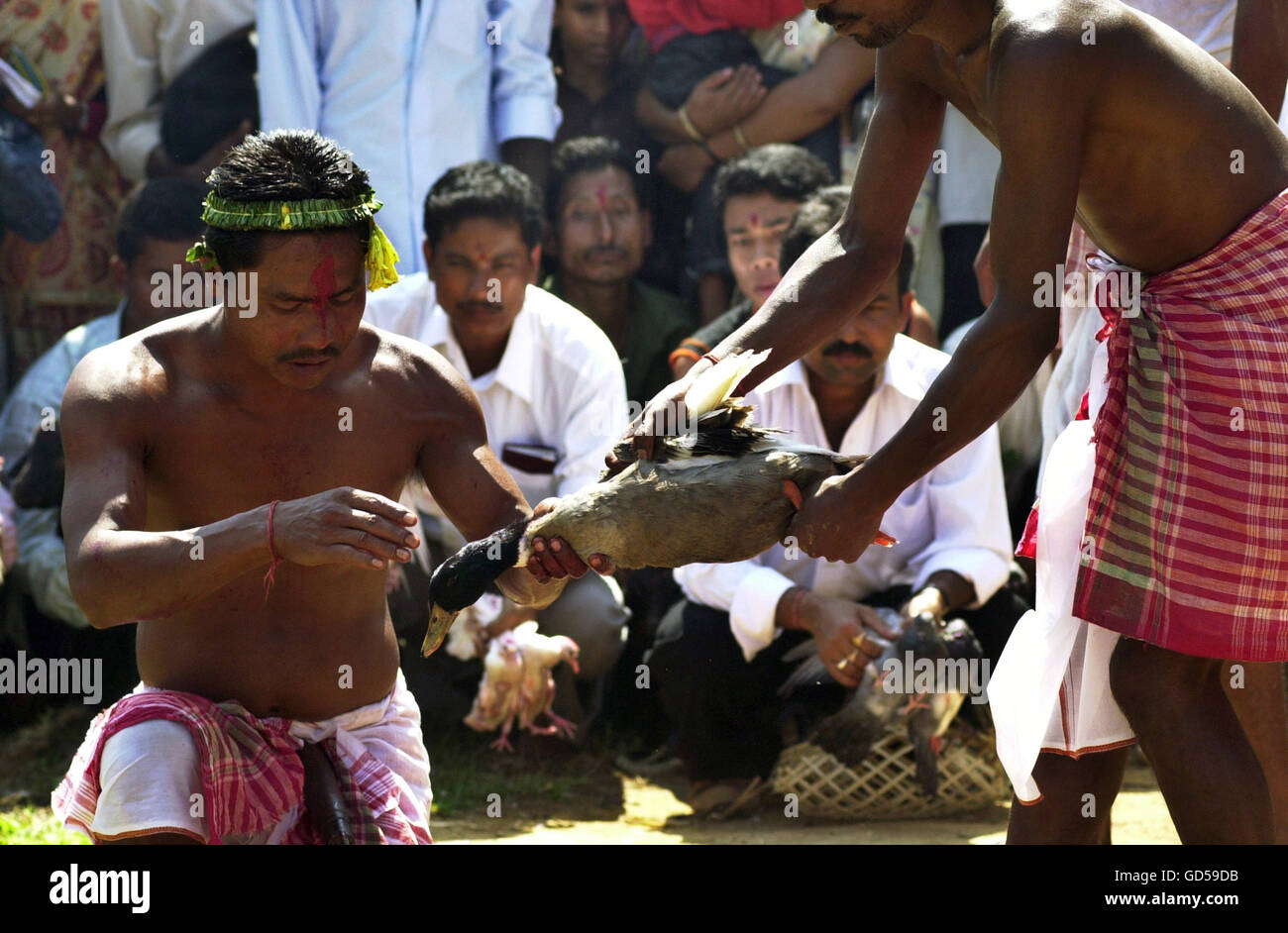 Casa di macello Foto Stock
