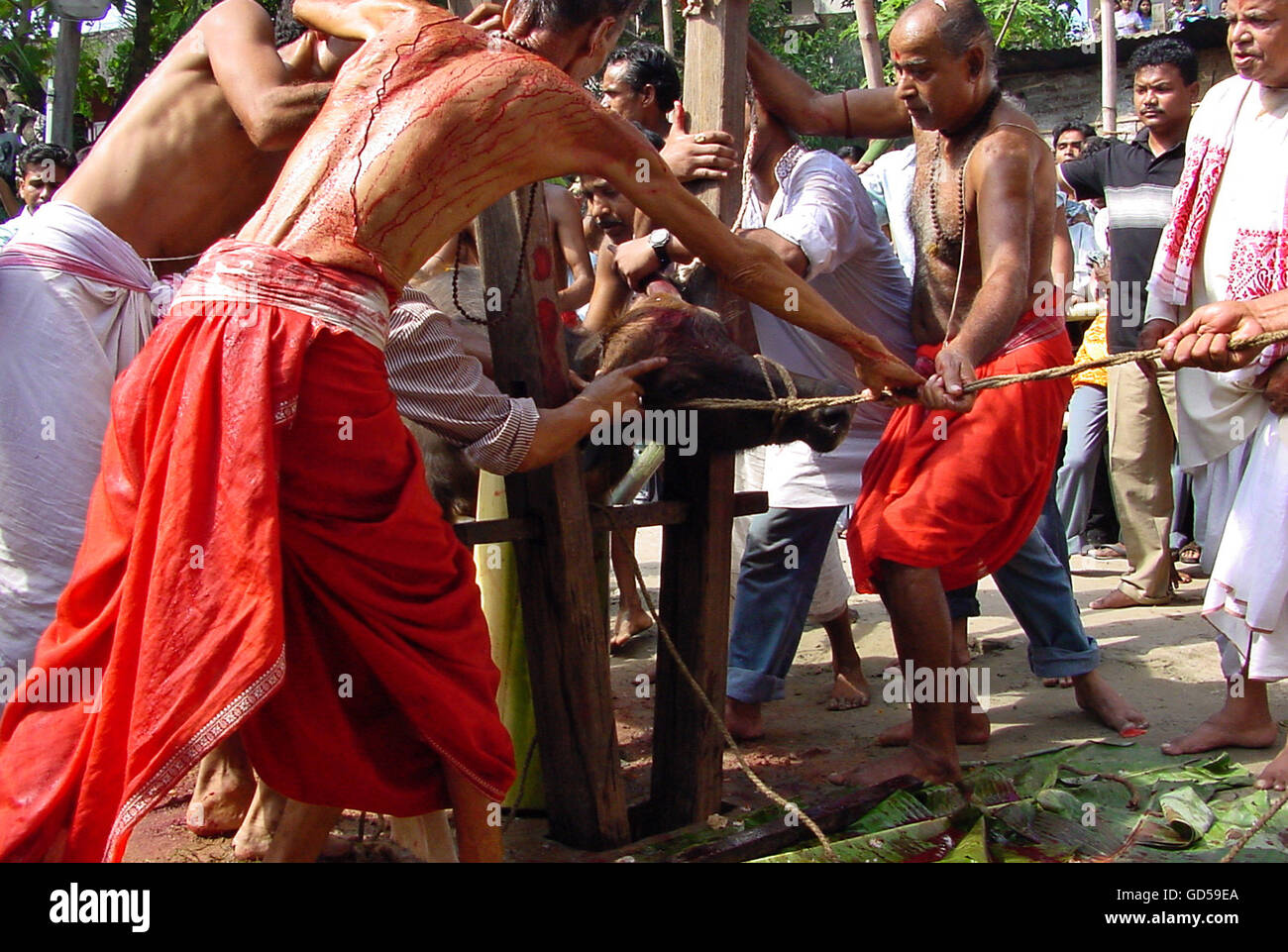 Casa di macello Foto Stock