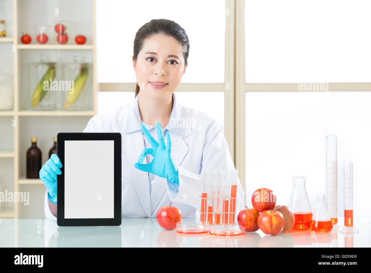 La modificazione genetica il cibo è ok per la salute umana mediante ricerca su internet Foto Stock