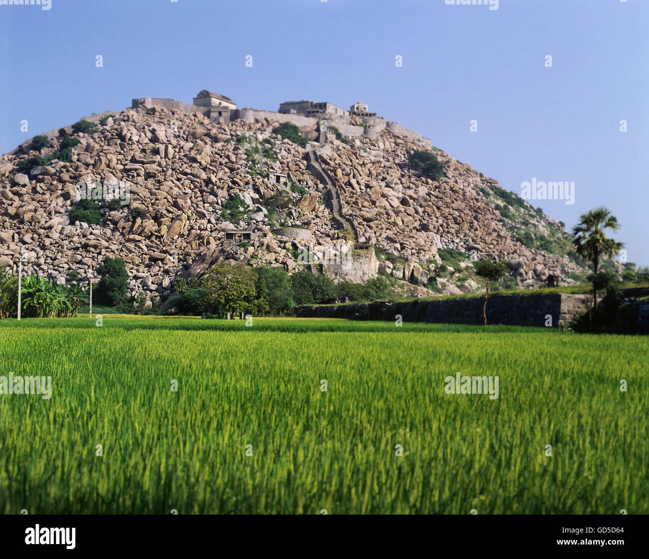 Gingee Fort Foto Stock