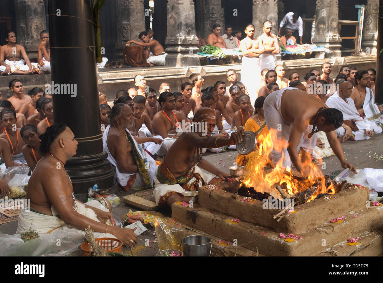 Rudra Homa nel Tempio Nataraja Foto Stock