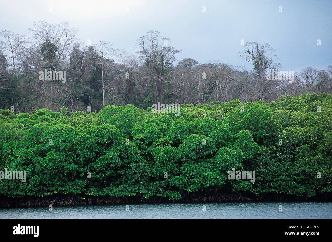 Il Mahatma Gandhi National Marine Park Foto Stock