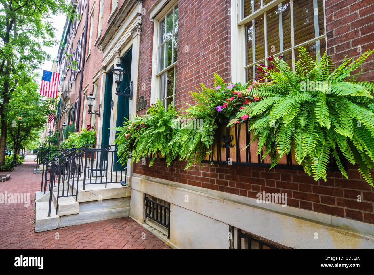 Interessanti le caselle della finestra di felci e fiori lungo sulla casa di mattoni con Betsy Ross bandiera nello storico quartiere di Philadelphia Foto Stock