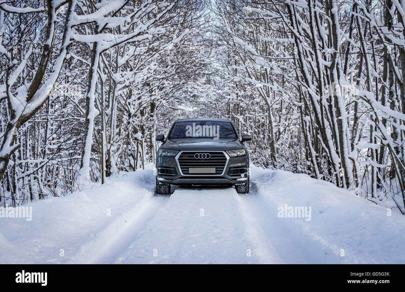 Audi Q7 nella neve Foto Stock