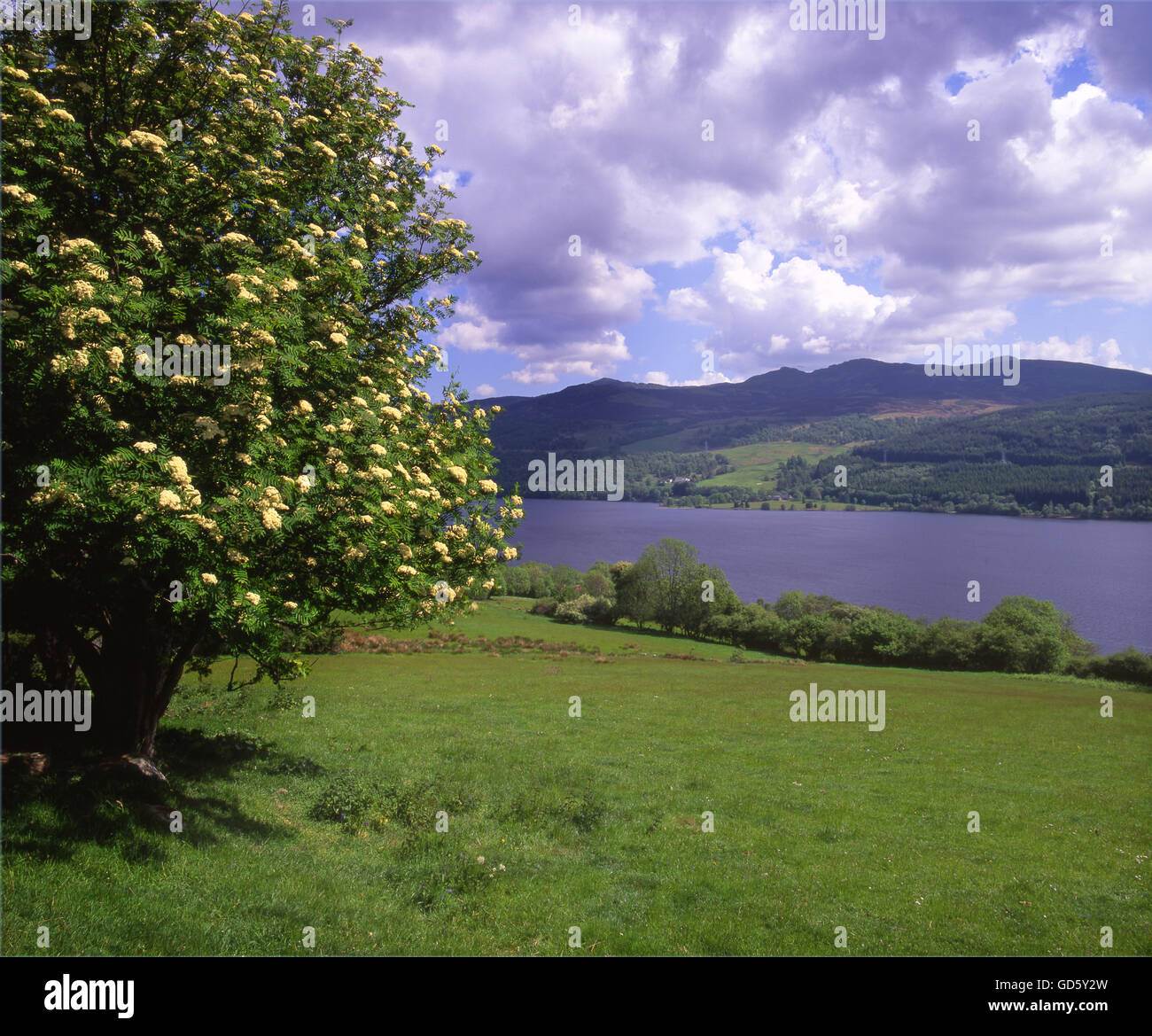 Vista estiva di Loch Tummel, Perthshire. Foto Stock