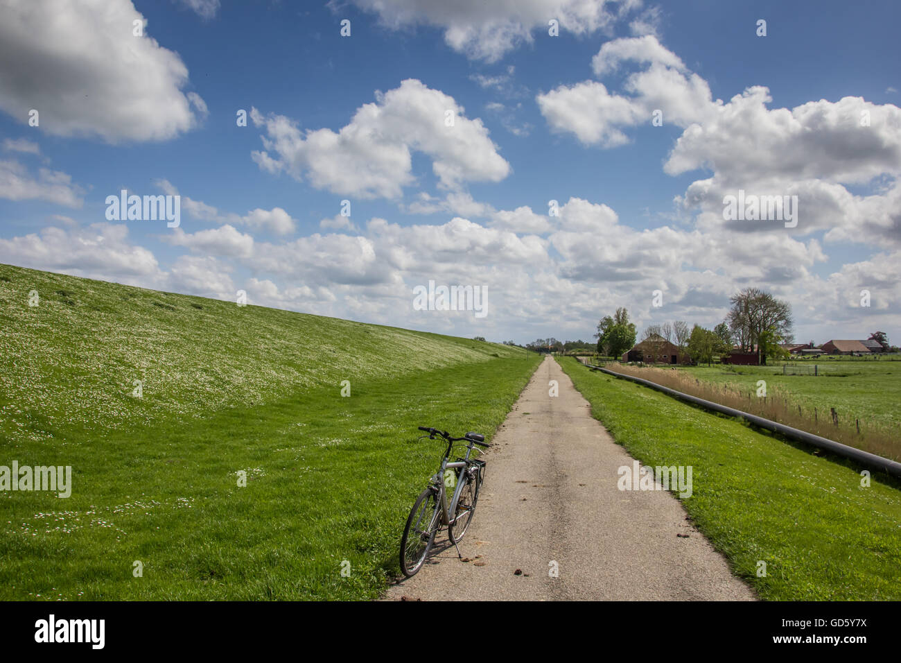 In bicicletta lungo il percorso di dollard in Ostfriesland, Germania Foto Stock