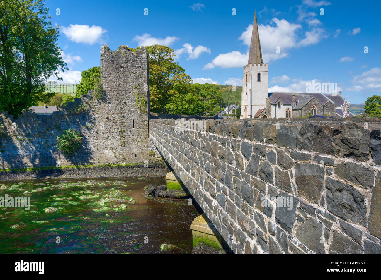 Glenarm (Irish: Valle dell'esercito). un villaggio risalente al periodo normanno insieme in una zona di conservazione, Irlanda del Nord Foto Stock