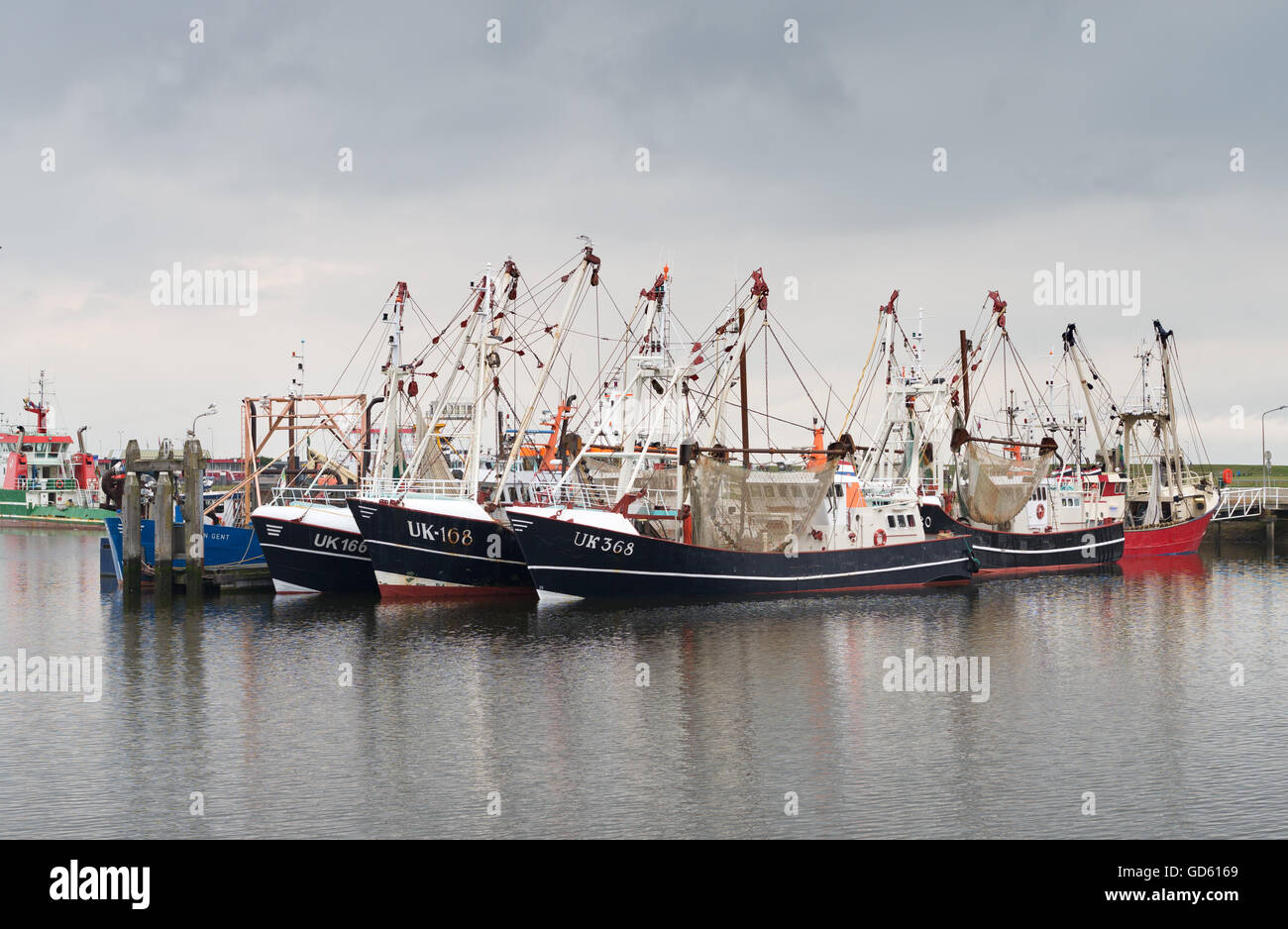 Le navi da pesca ormeggiate nel porto Lauwersoog, de Marne, Olanda, Europa Foto Stock