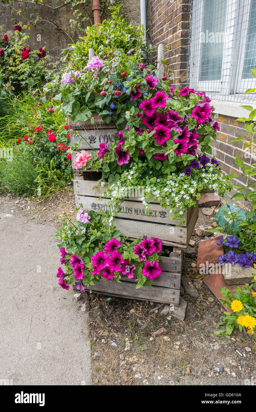 Accattivante display fiore stazione di Lewes Sussex England Foto Stock