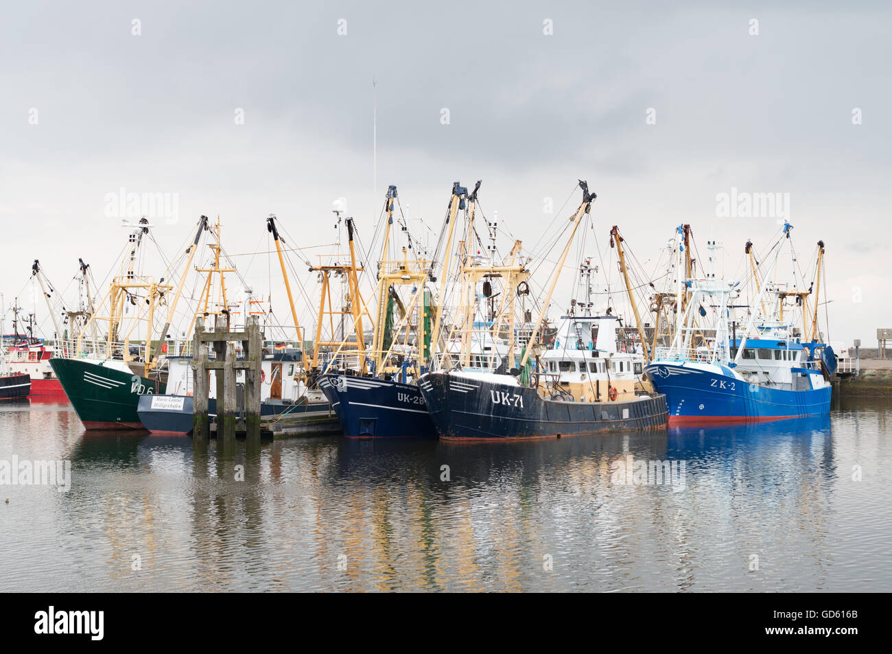 Le navi da pesca ormeggiate nel porto Lauwersoog, de Marne, Olanda, Europa Foto Stock