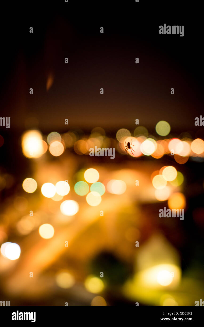 Spider retroilluminati da un colorato illuminano e bokeh di luci della città che risplende nelle tenebre visto come una silhouette Foto Stock