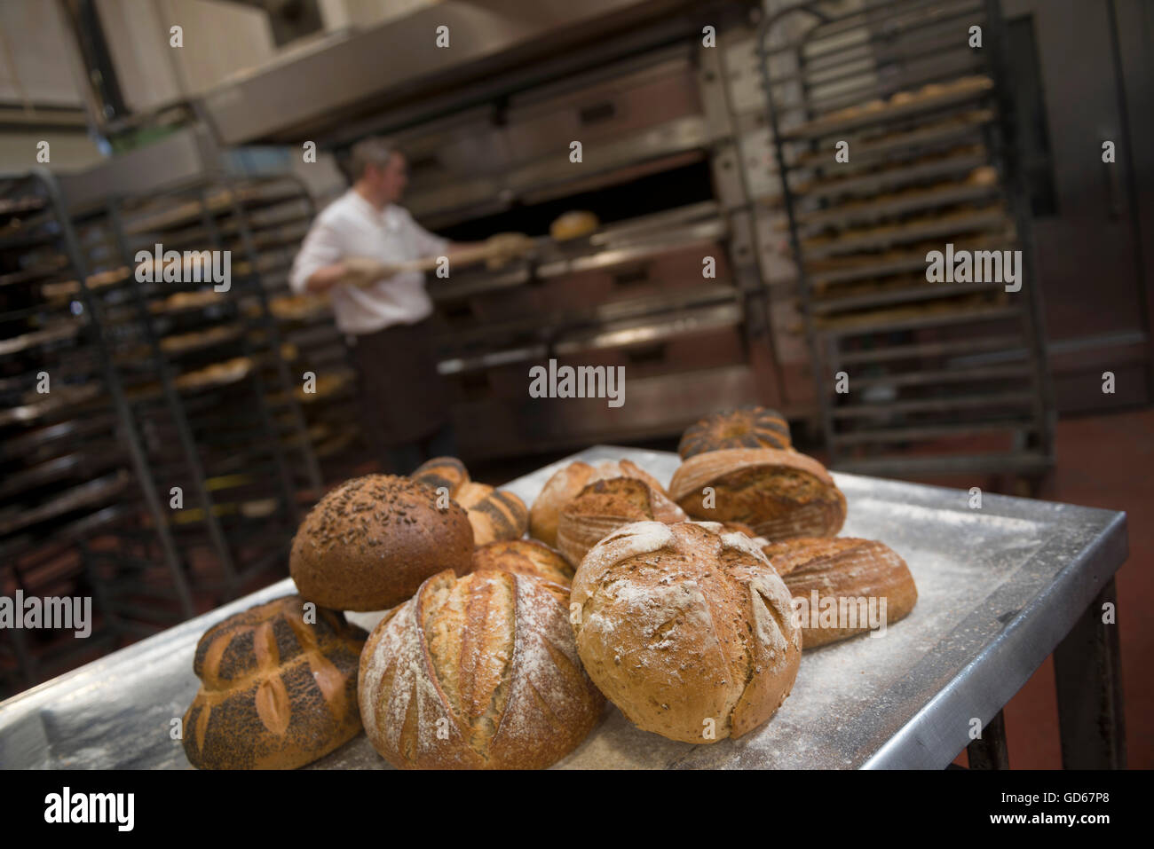Baker la cottura del pane. In Inghilterra. Regno Unito Foto Stock