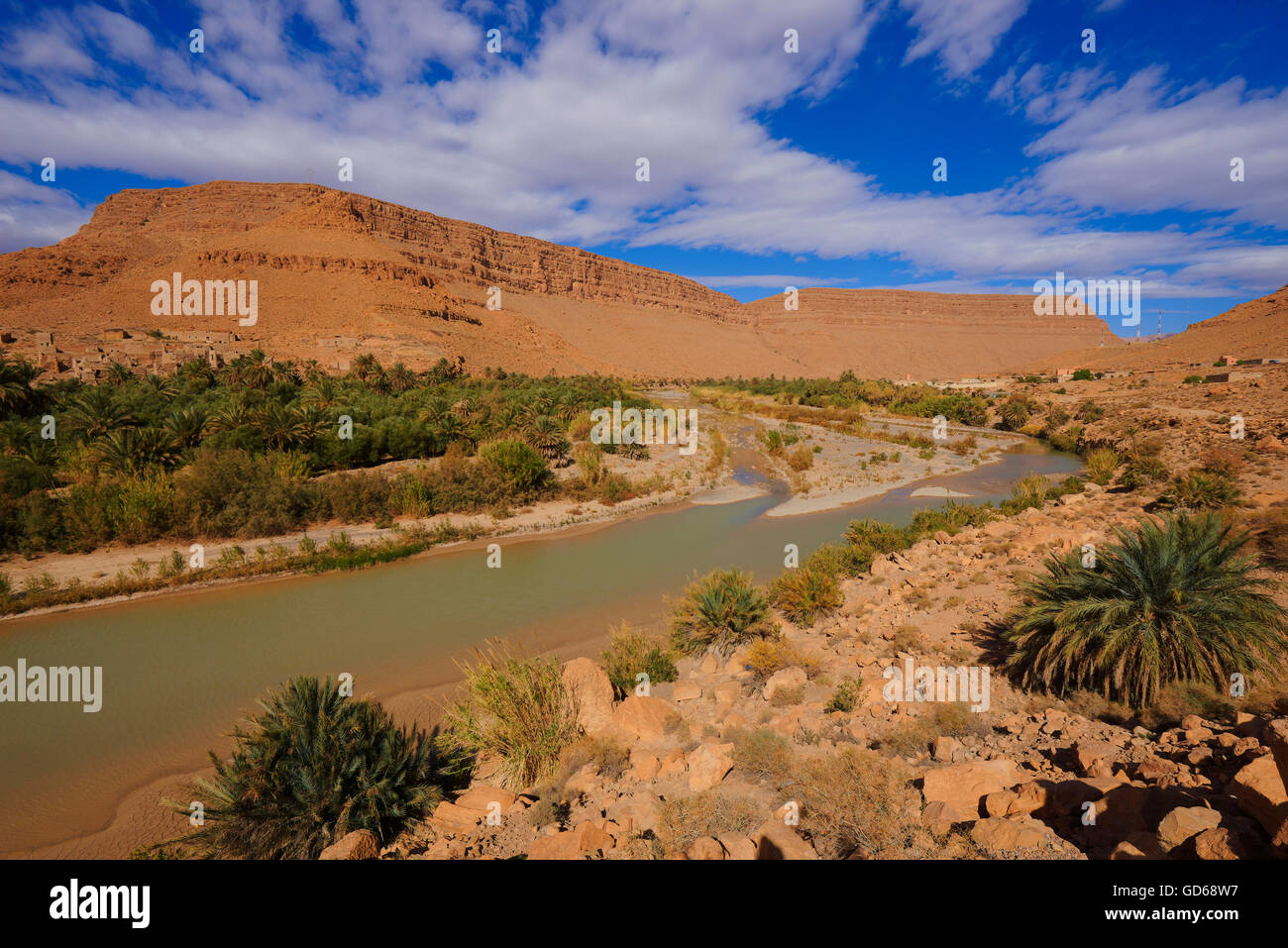 Ziz fiume Oued Ziz, Gorges du Ziz, Ziz Valley, Ziz gole, regione Tafilalet, Marocco, Africa del Nord Foto Stock