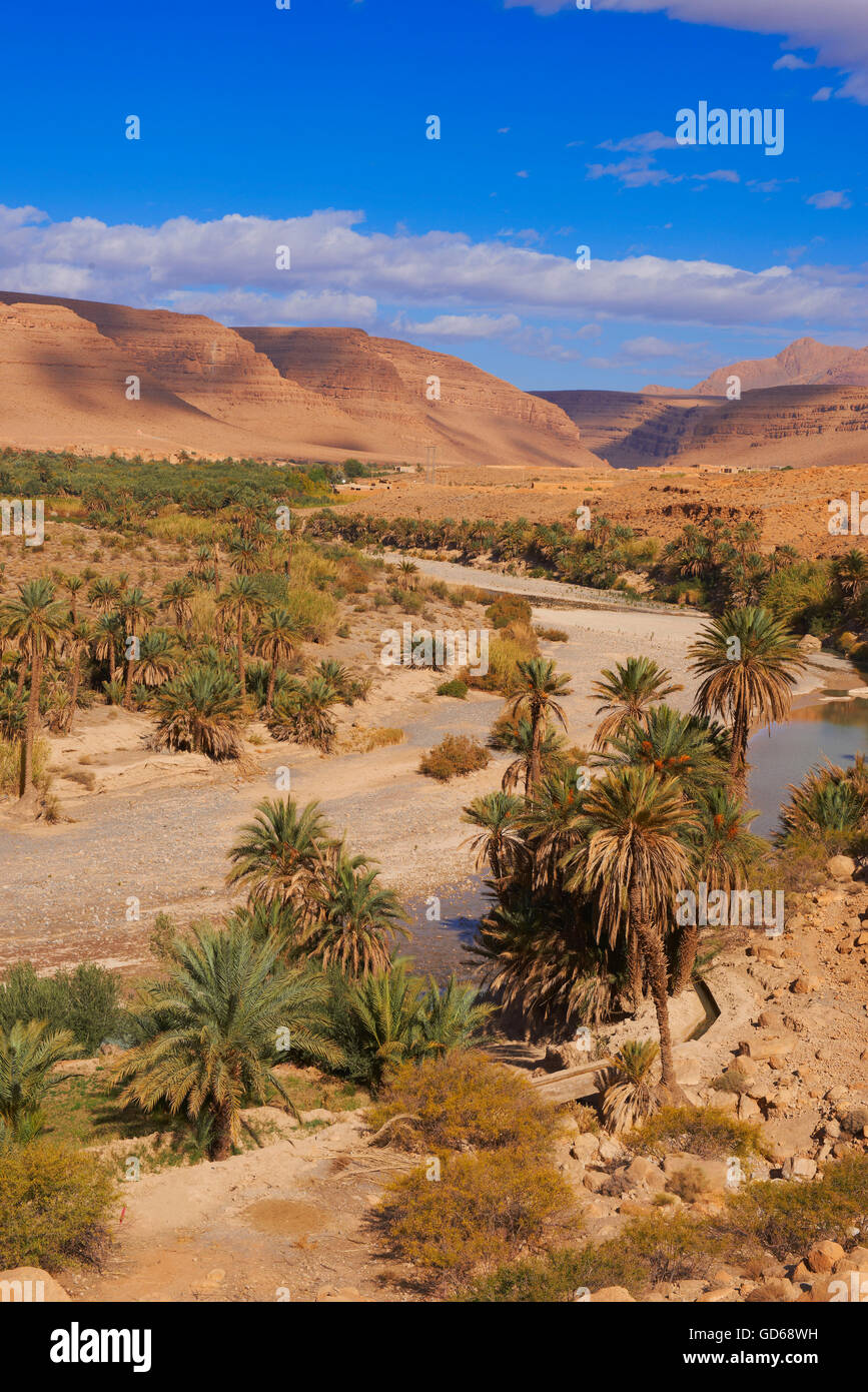 Ziz fiume Oued Ziz, Gorges du Ziz, Ziz Valley, Ziz gole, oasi, regione Tafilalet, Marocco, Africa del Nord Foto Stock