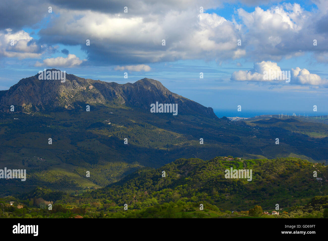 A Gaucin, Sierra Bermeja, Serrania de Ronda, provincia di Malaga, Andalusia, Spagna Foto Stock