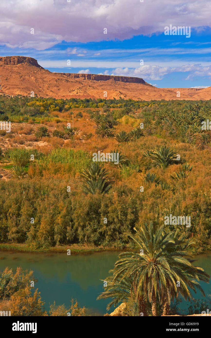 Oasi Tafilalet, Tafilalt oasi, Ziz River Gorges du Ziz, Ziz Valley, Ziz gole, regione Tafilalet, Marocco, Africa del Nord Foto Stock
