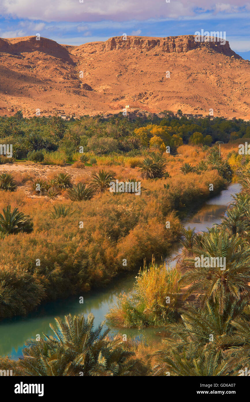 Oasi Tafilalet, Tafilalt oasi, Ziz River Gorges du Ziz, Ziz Valley, Ziz gole, regione Tafilalet, Marocco, Africa del Nord Foto Stock