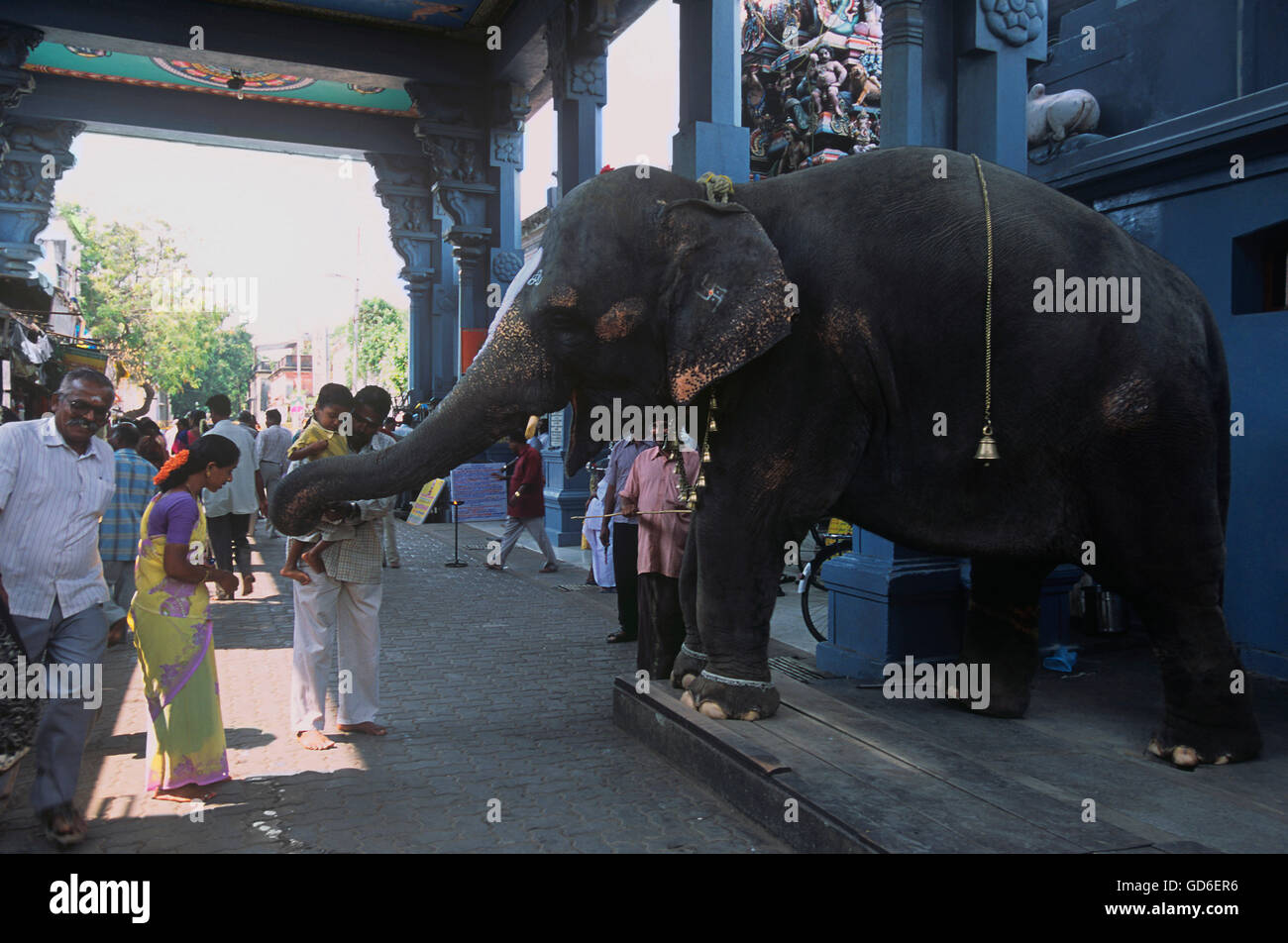 Tempio Vinayagar Foto Stock