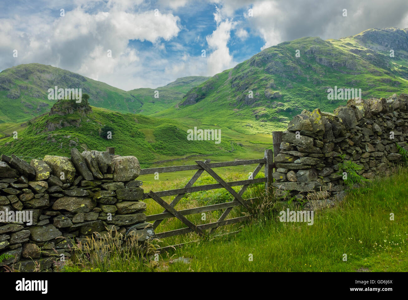 Hollin roccioso e Cavallo roccioso, Langdale, Cumbria, Inghilterra. Foto Stock