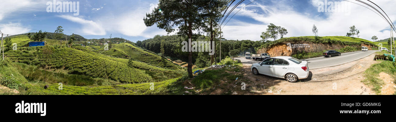 Panorama 360° di una vista dal lato strada sul Mackwoods Labookellie Tea Plantation che mostra il tè crescente sulle colline Foto Stock