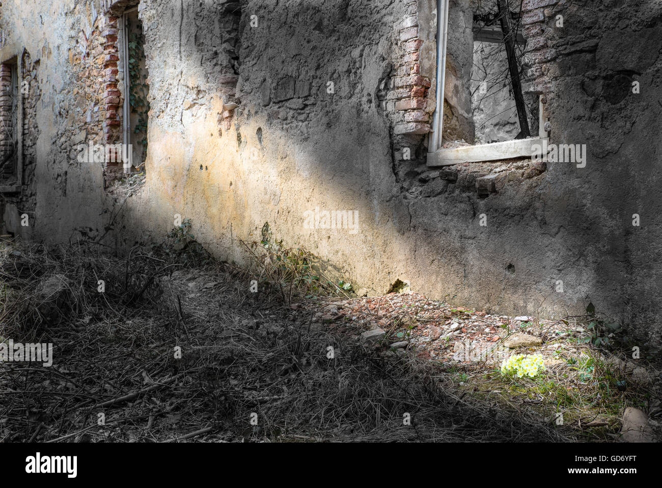 La distruzione e la speranza Foto Stock