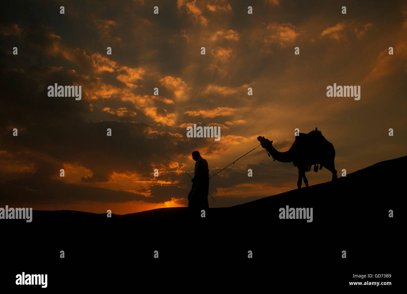 Il sanddunes nei pressi dell'Oasi e il villaggio di Siwa nel lybian o deserto occidentale d'Egitto in nord africa Foto Stock