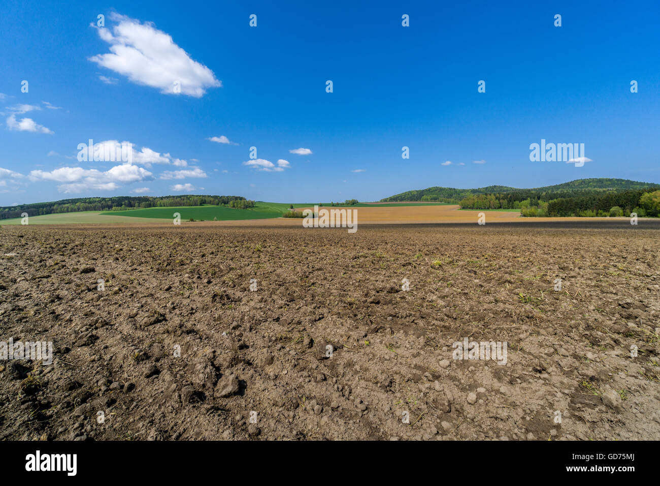 Il paesaggio agricolo con campo arato, alberi e nuvoloso cielo blu, Cunnersdorf, Bassa Sassonia, Germania Foto Stock