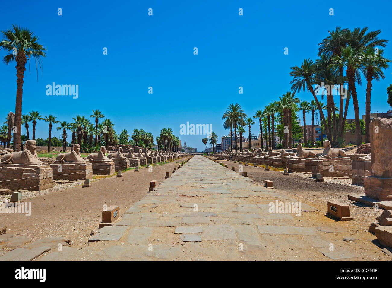 Sphinx Alley, tempio complesso tempio di Karnak, Karnak Luxor Egitto Foto Stock
