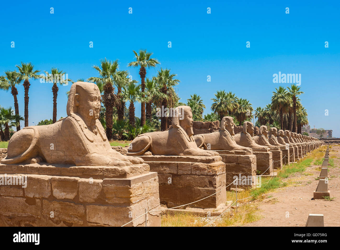 Sphinx Alley, tempio complesso tempio di Karnak Luxor Egitto Foto Stock