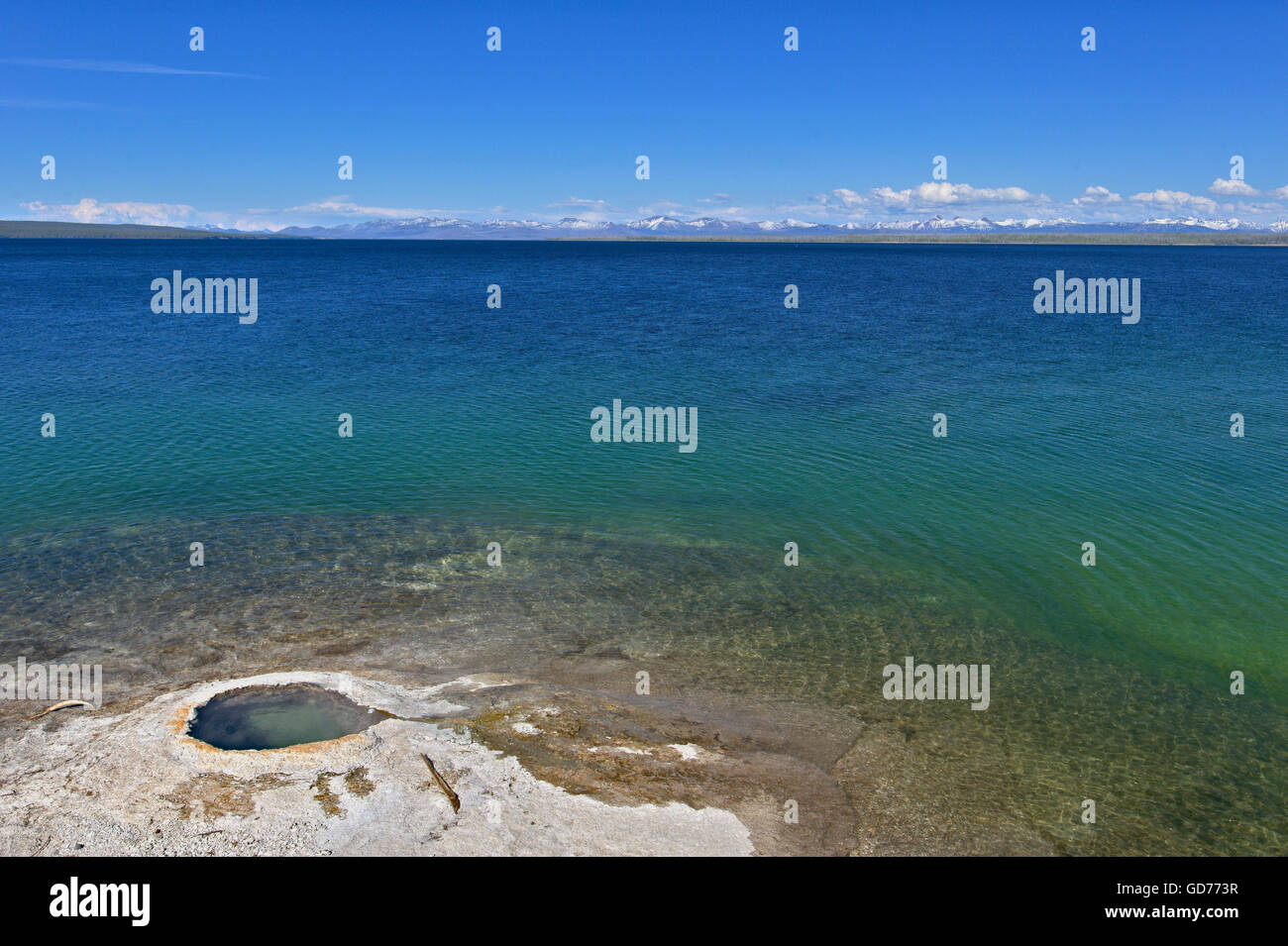 Cono gigante, West Thumb Geyser Basin, il Parco Nazionale di Yellowstone. Foto Stock