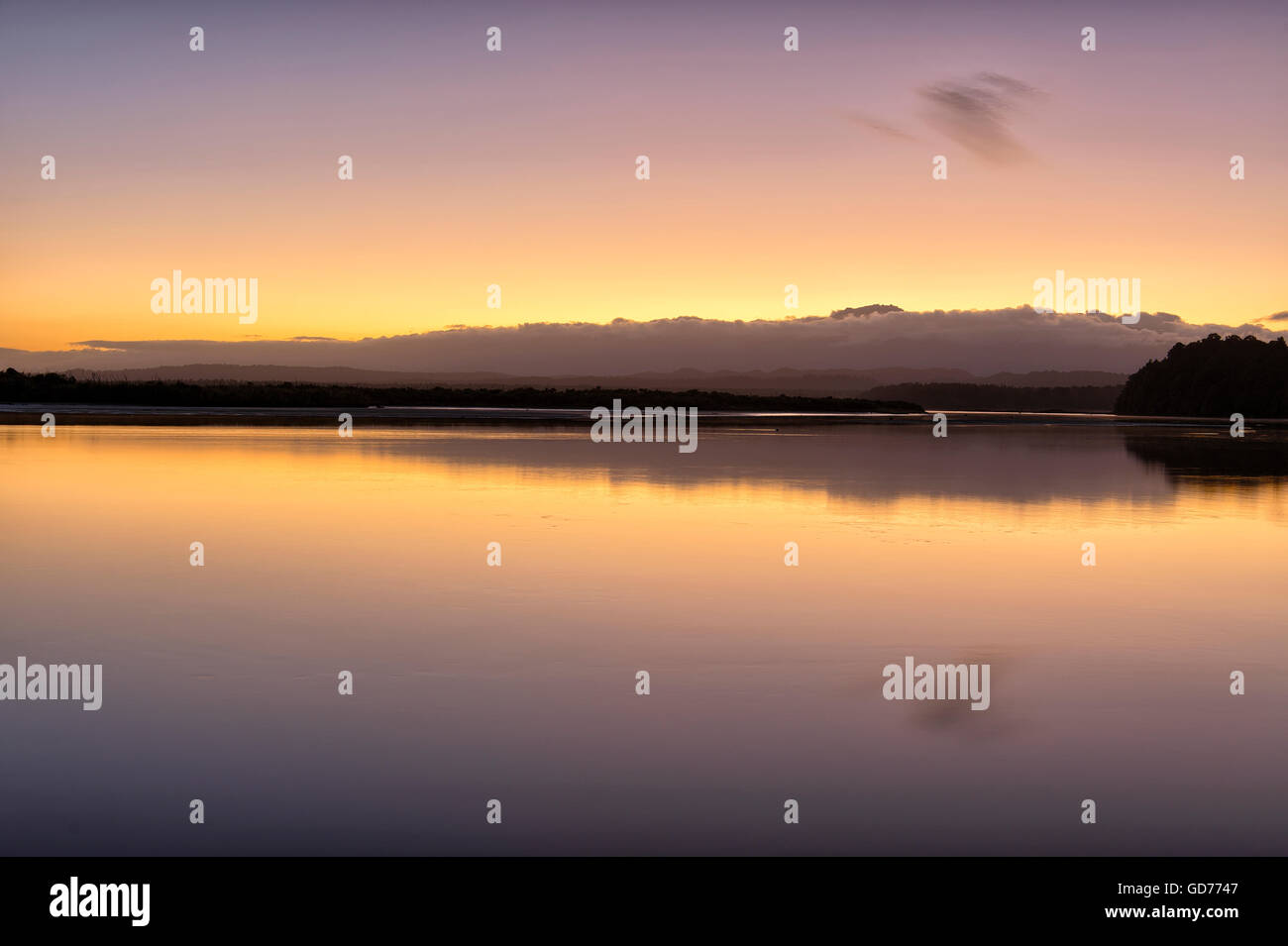 La mattina presto luce su Okarito Lago, Isola del Sud, Nuova Zelanda Foto Stock