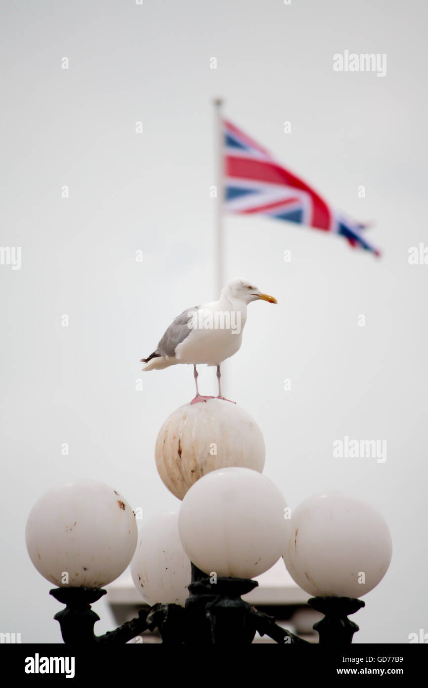 Seagull sulla spiaggia di Brighton lampione Foto Stock