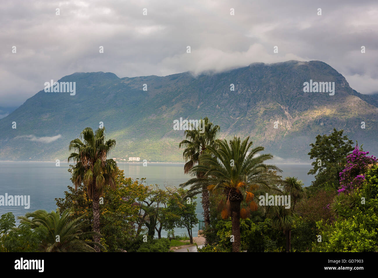 Boka Kotorska (la Baia di Kotor) dal villaggio di Dobrota, Montenegro Foto Stock