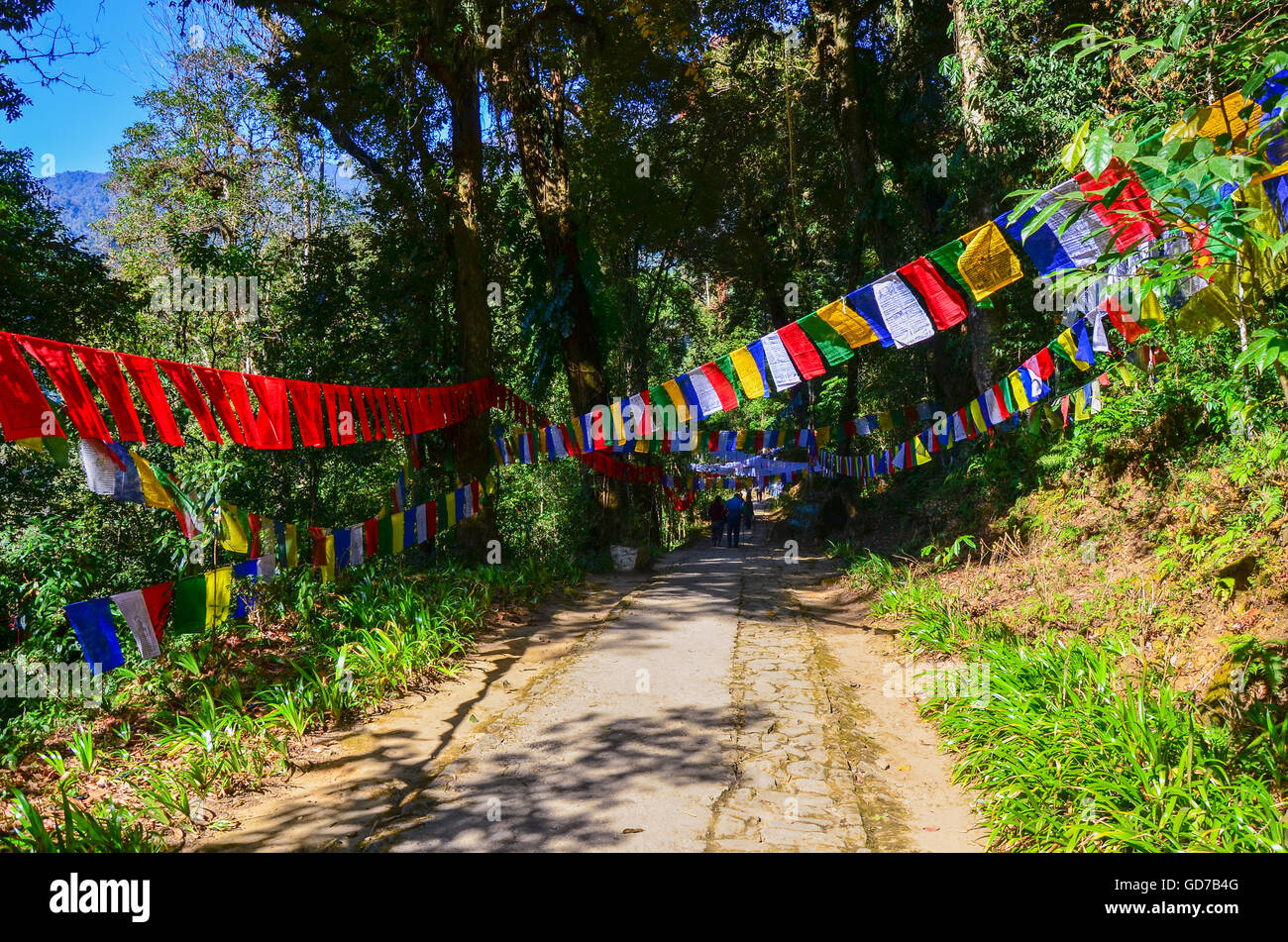 Percorso a piedi per Khechuperi Lago Santo rivestita con la preghiera le bandiere e gli alberi in ortografia, Sikkim, India Foto Stock