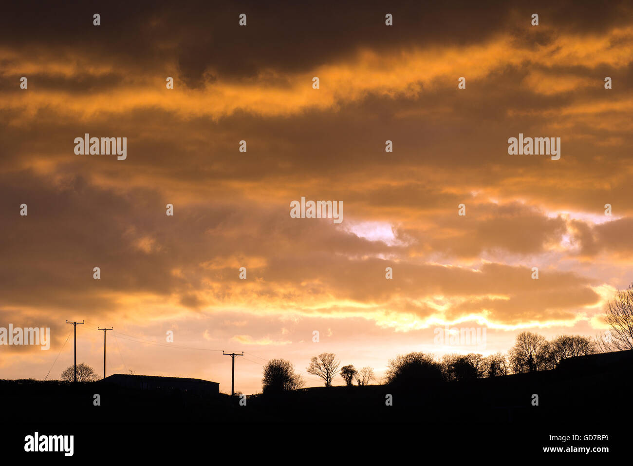 Parco Nazionale di Dartmoor,verde, palla, gioco, partita, erba, paletto, inglese britannico, sport, ciotola, bat, outdoor, viaggi, il giorno della pace, Foto Stock