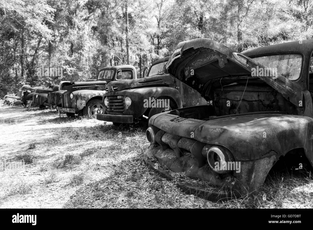 Crawfordville, Florida - USA. Maggio 2016 - vecchio arrugginito i carrelli abbandonati sul lato dell'autostrada. Foto Stock