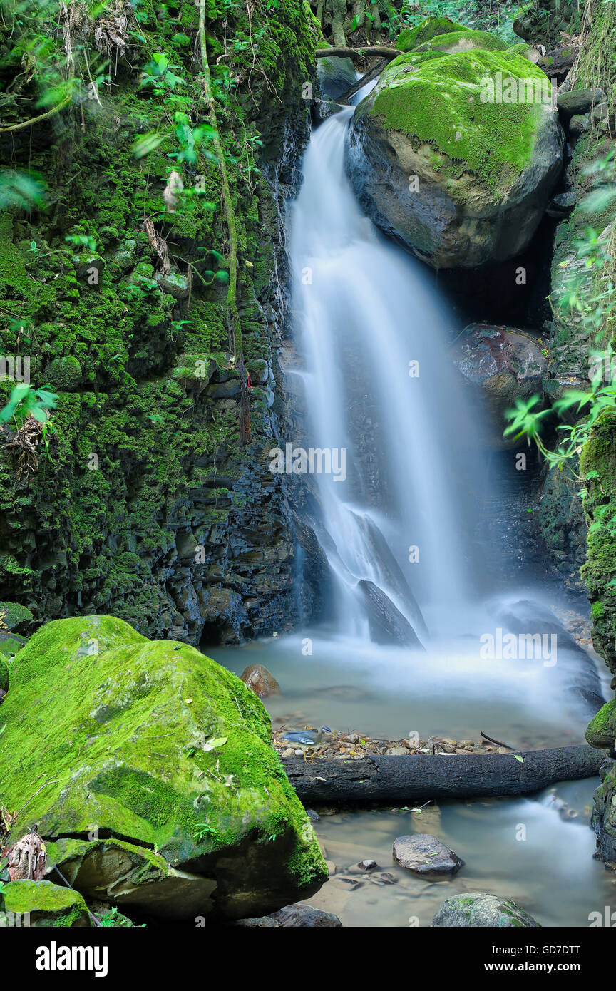 La cascata nel cuore della giungla, Sanuario Ecologico, Monteverde, Costa Rica. Foto Stock