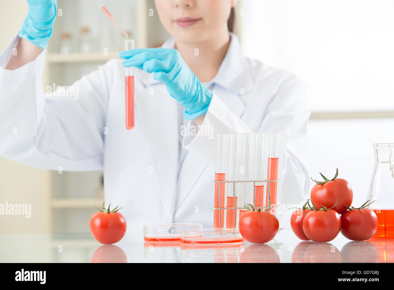 Se non si è sicuri circa gli alimenti OGM, fare il vostro lavoro a casa su internet Foto Stock