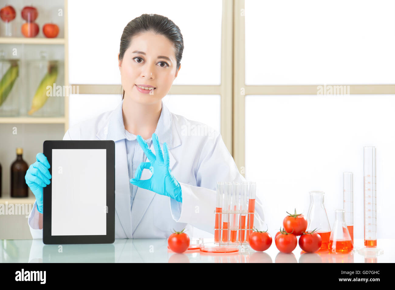 La modificazione genetica il cibo è ok per la salute umana mediante ricerca su internet Foto Stock