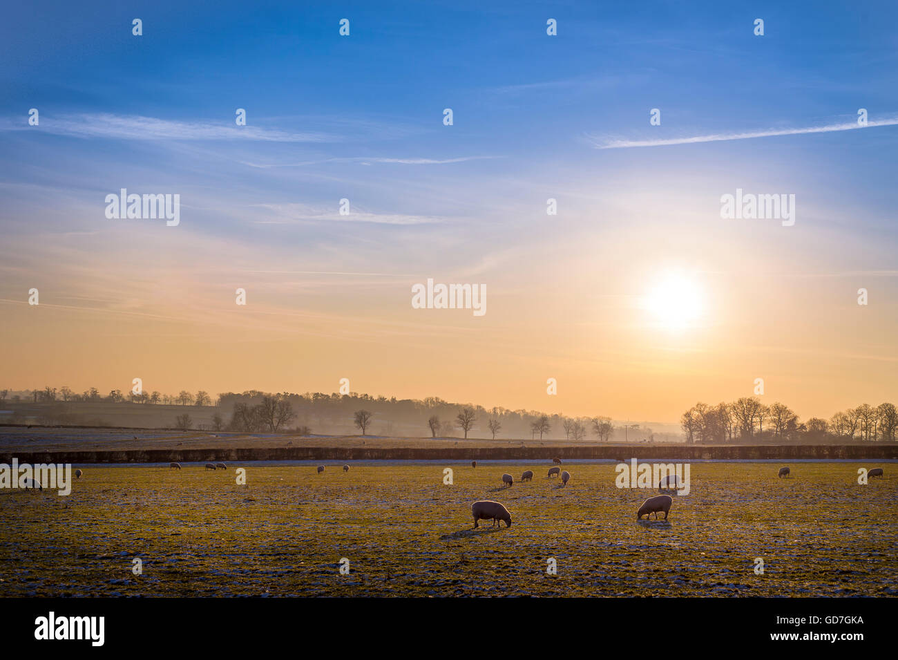 Bellissima vista del tramonto in inverno come il sole tramonta di campi in Inghilterra rurale. Foto Stock