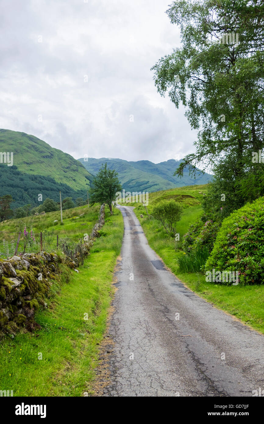 Scottish paesaggio rurale via unica strada con pecore al pascolo e in pietra a secco a fianco della parete e il verde delle montagne in distanza Foto Stock