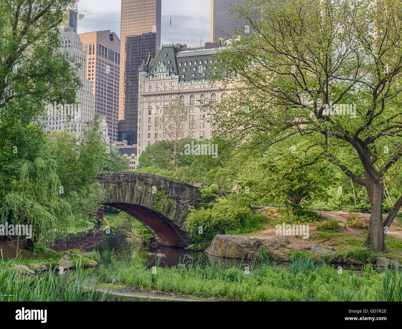 Gapstow Bridge è una delle icone del Central Park di Manhattan a New York City in estate Foto Stock