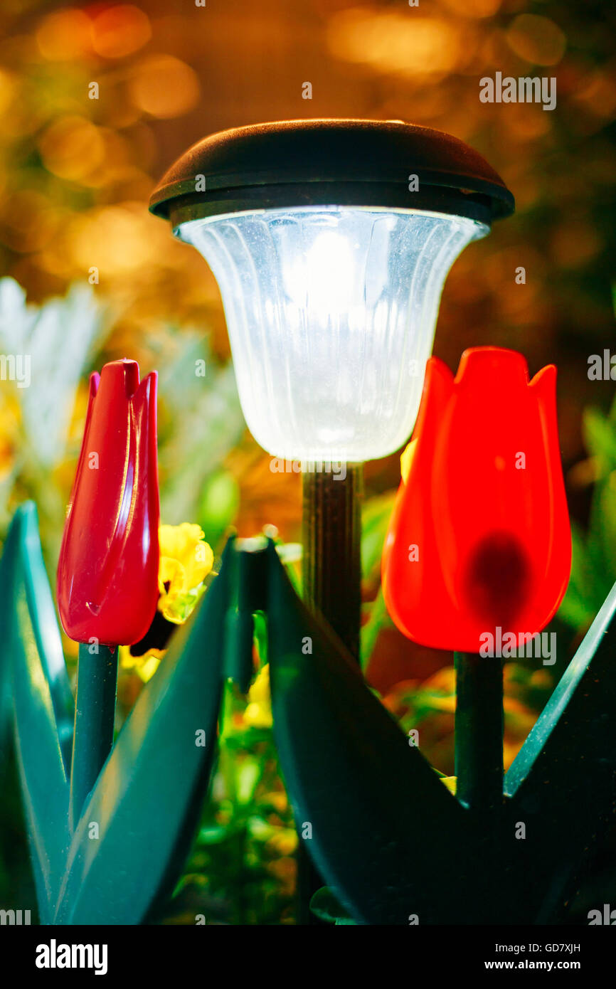 Piccolo giardino luce solare, lanterne nel letto di fiori. Garden Design. A energia solare lampada Foto Stock