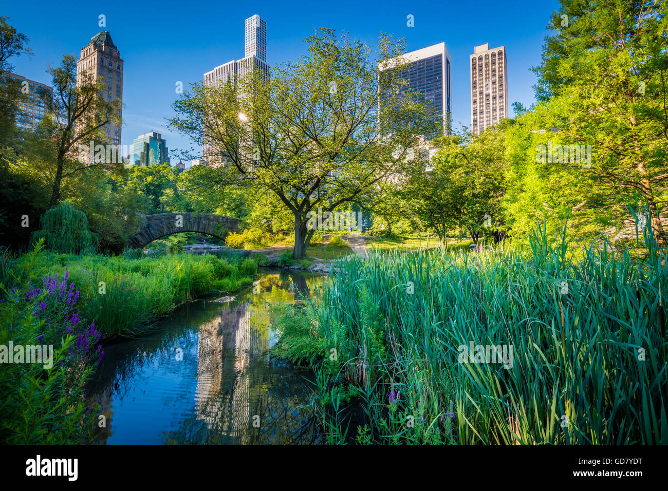 Il Laghetto di Central Park di New York City, con edifici di midtown visibile in distanza Foto Stock