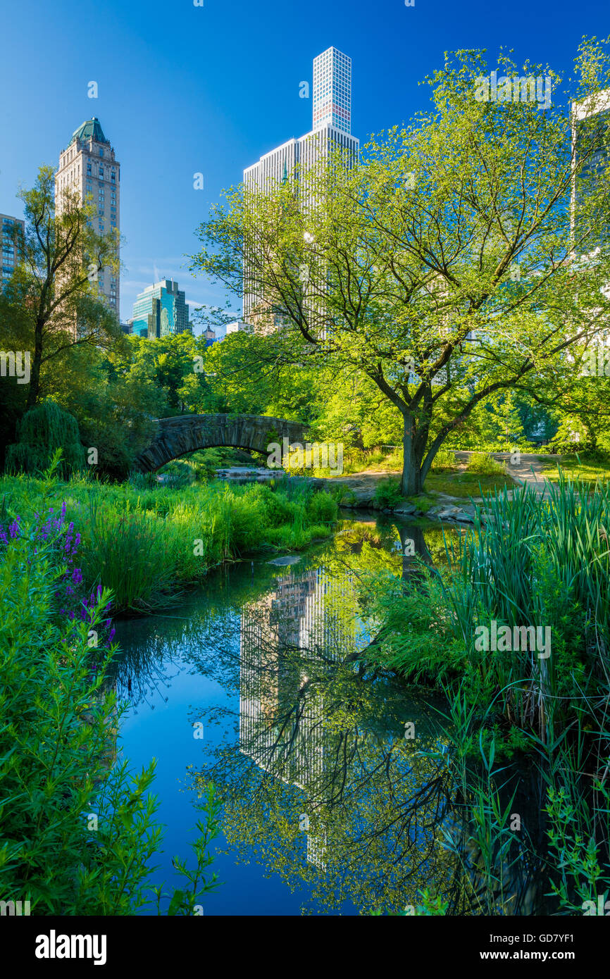 Il Laghetto di Central Park di New York City, con edifici di midtown visibile in distanza Foto Stock