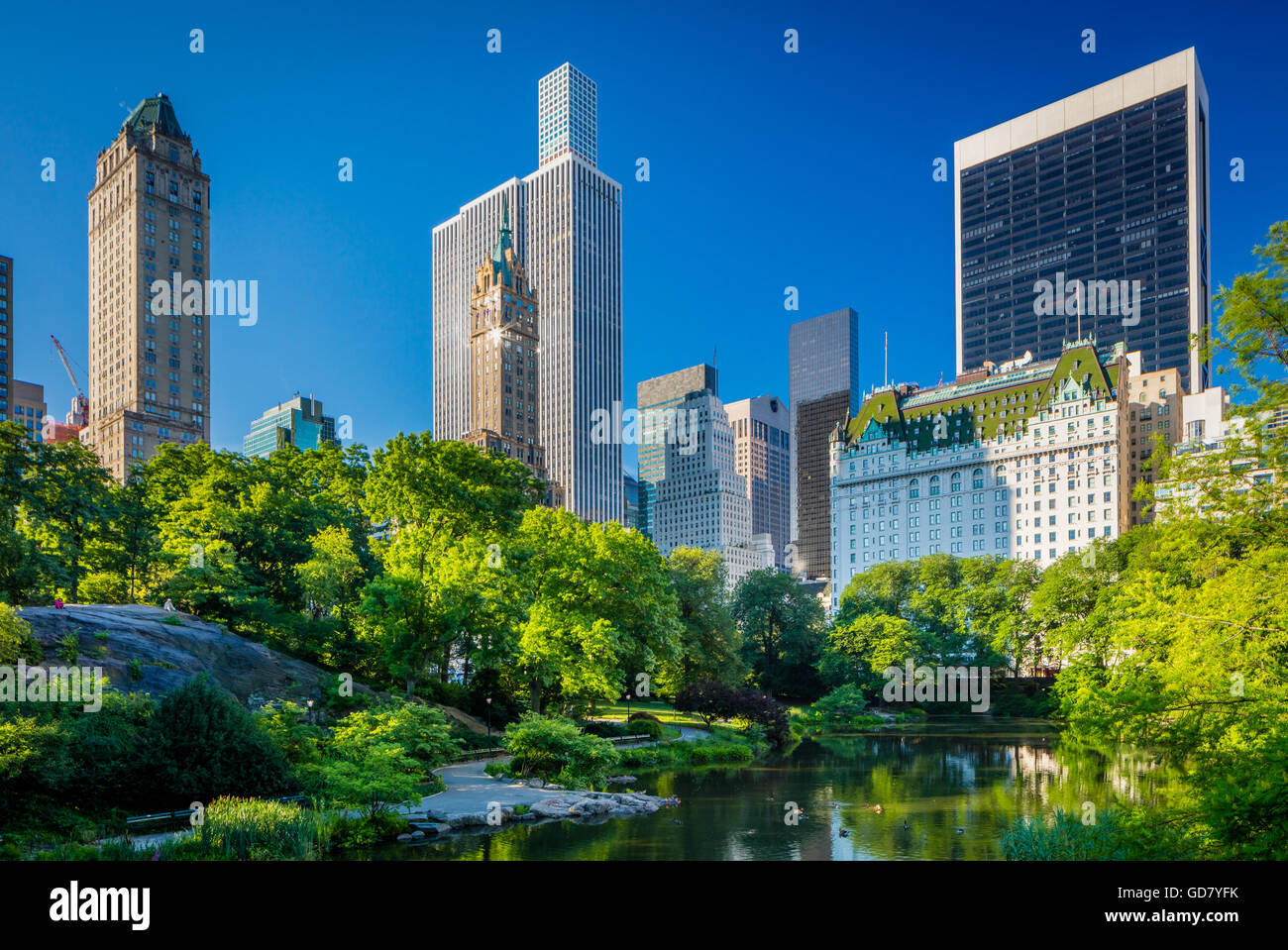 Il Laghetto di Central Park di New York City, con edifici di midtown visibile in distanza Foto Stock