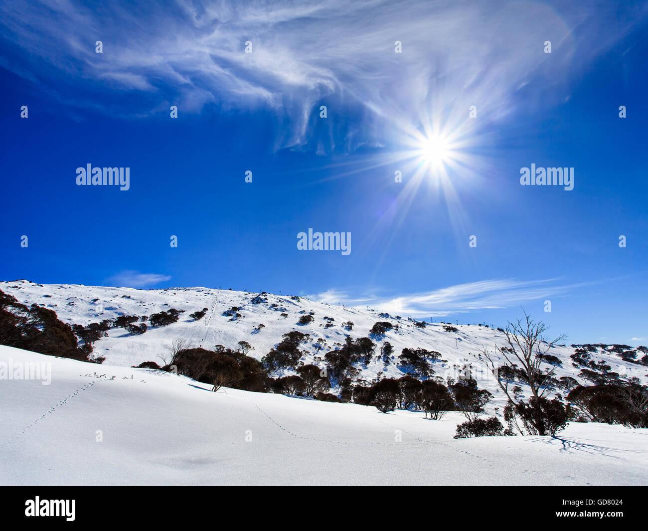 Montagne innevate di kosciuszko national park in una soleggiata giornata invernale lungo il perisher valley. Coperte di neve montagne remoto gamma Foto Stock