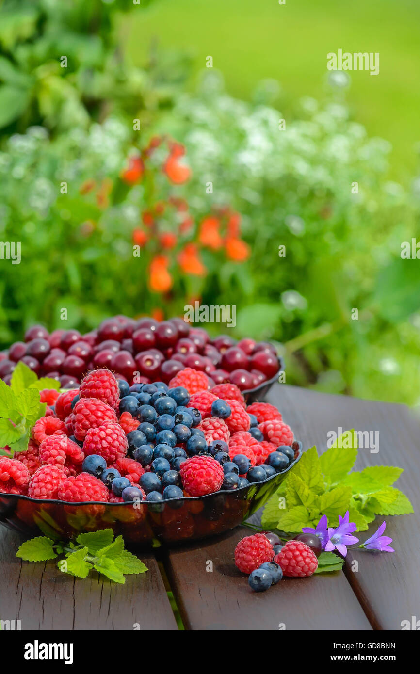 Estate di frutti di bosco freschi, casa giardino, delizioso cibo sano, mirtilli, ciliegie, lamponi, Foto Stock