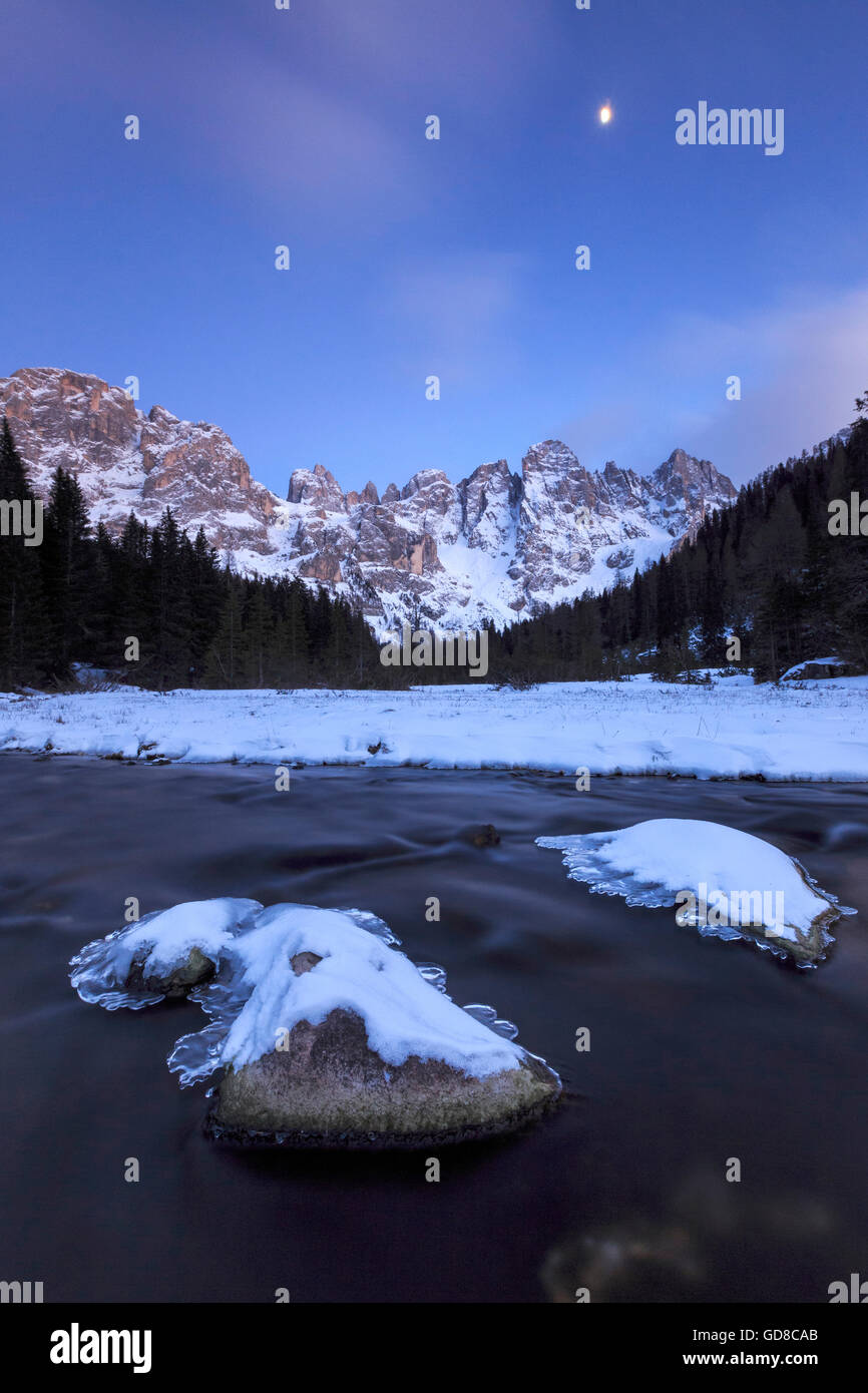 A Frozen creek sotto un freddo inverno sky Val Venegia Paneveggio Parco naturale Dolomiti Trentino Alto Adige Italia Europa Foto Stock